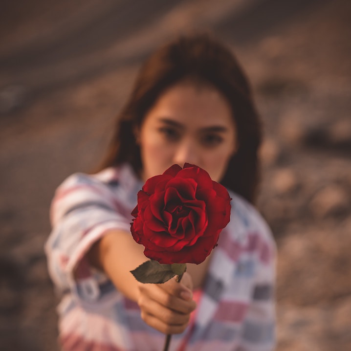 A young adult brunette woman holding a red rose out in front of her