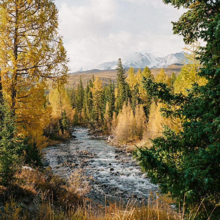 A nature landscape of snow capped mountains in the background with a stream flowing next to trees in the foreground